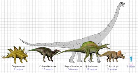 Argentinosaurus Caracter Sticas Alimentaci N H Bitat Dinosaurio