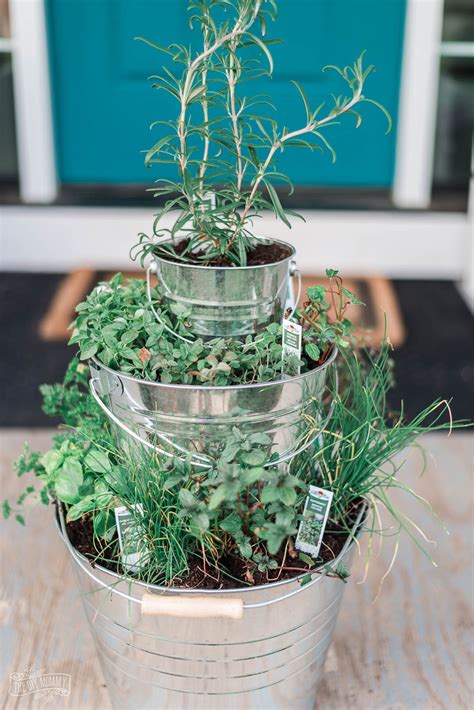 Make A Tiered Herb Planter With Dollar Store Buckets The Diy Mommy