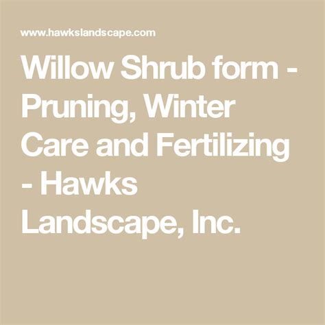 Willow Shrub form - Pruning, Winter Care and Fertilizing - Hawks Landscape, Inc. | Landscape ...