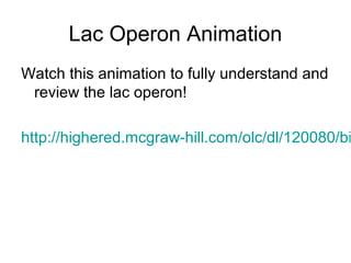 Lac Operon Animation