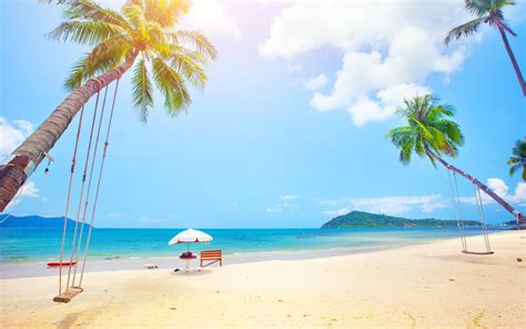 Fonds D Cran T Tropical Palmiers Plage Mer X Uhd K Image