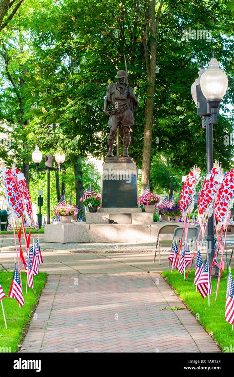 Memorial Day tribute. American flags spread on lawn of public park as ...