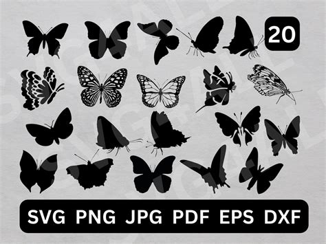 Butterfly Svg Butterfly Png Butterfly Bundle Svg Files Butterfly Cut