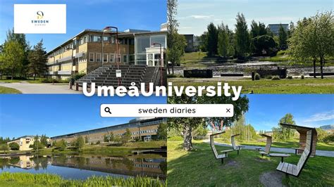 University Of Sweden Umeå University Tour Sweden Diaries Youtube