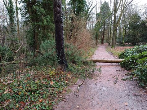 Bedburger Schlosspark Wegen Sturmsch Den Gesperrt