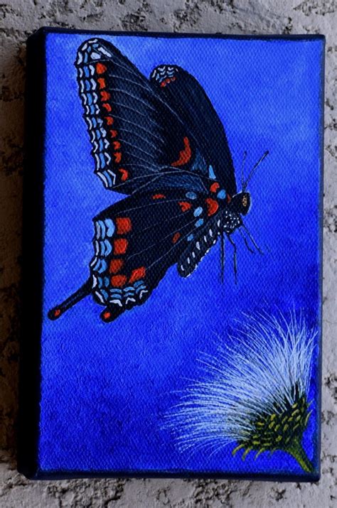 Butterfly Painting Black Swallowtail by SmallTownTraditions