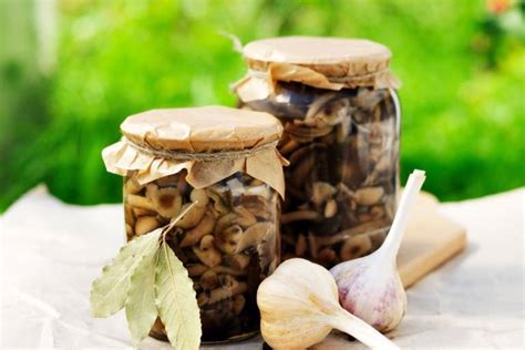 Come Fare I Funghi Sott Olio La Ricetta Della Conserva