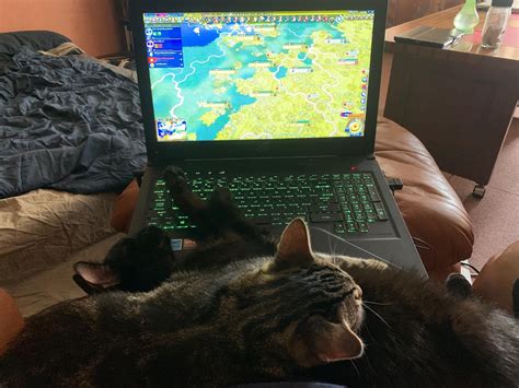 My cats love it when I play Civ but this is getting ridiculous. Sure