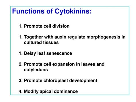 Ppt Biol 352 Lecture 6 Cytokinins Regulators Of Cell Division