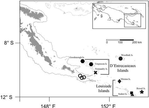 A New Insular Species Of Oreophryne Anura Microhylidae From Papua