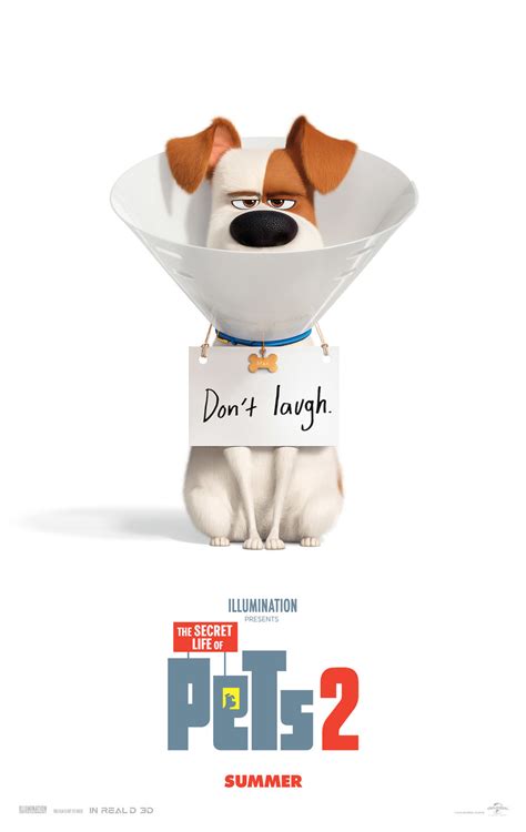 The Secret Life of Pets 2 DVD Release Date | Redbox, Netflix, iTunes ...