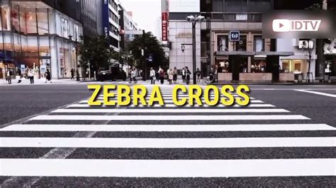 Begini Asal Usul Terciptanya Zebra Cross YouTube