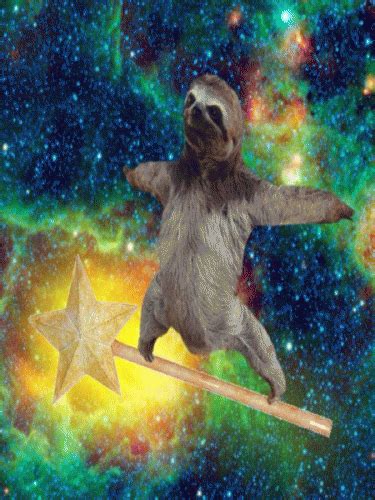 Galaxy Sloth  Find And Share On Giphy