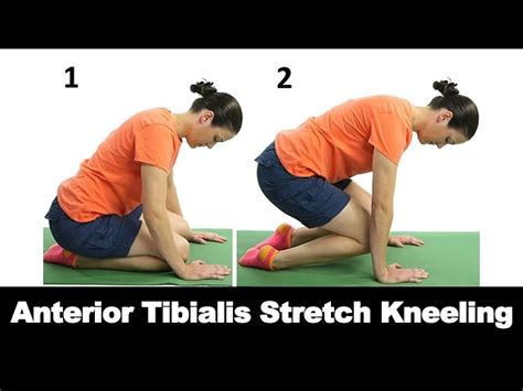 6 Best Shin Stretches To Strengthen Your Anterior Tibialis