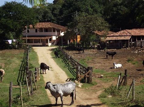 Fazenda Vida Na Ro A Paisagem Rural Imagens Rurais