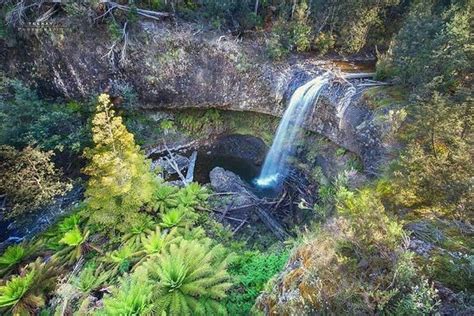 Tarraleah Falls - 2019 All You Need to Know BEFORE You Go (with Photos) - TripAdvisor