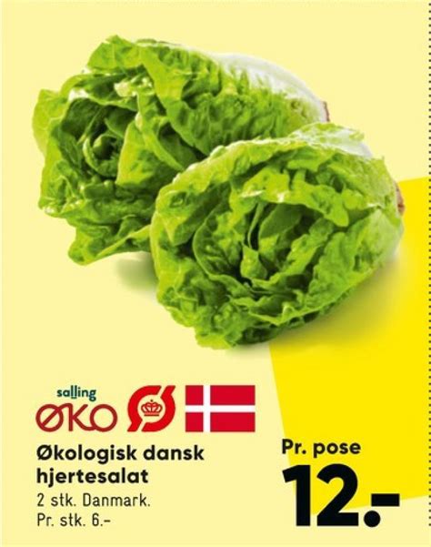 Salling Ko Hjertesalat Tilbud Hos Bilka