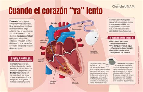 Pin En InfoCiencia