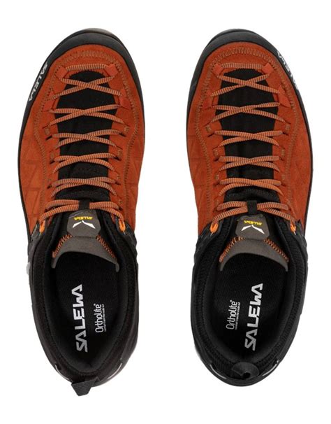 Salewa Ms Mtn Trainer Gtx Autumnal Black Approach Shoes Snowleader