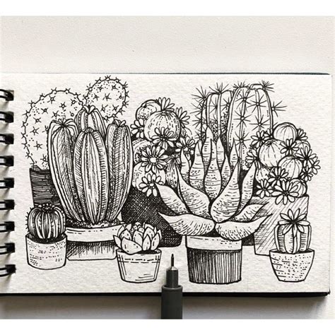 Potted Plants Pencil Drawing Pencil Plants Print House - Etsy