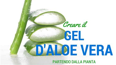 GEL D ALOE FATTO IN CASA Ricetta Facilissima PARTENDO DALLA PIANTA