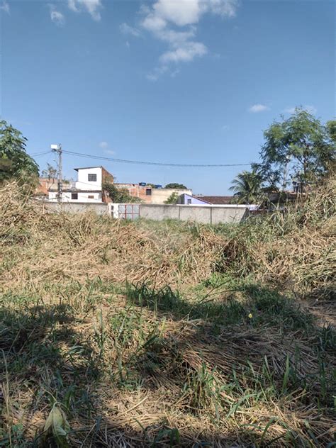 Terreno 1058 m² à Venda Rua Porfírio Sepetiba Rio De Janeiro Lopes