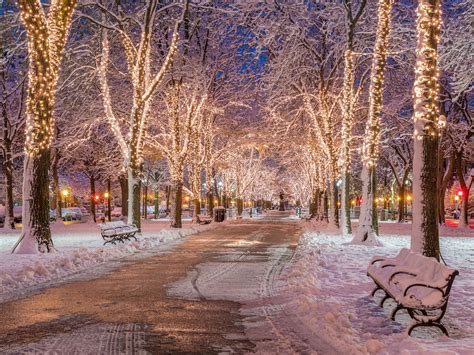 21 Magical Winter Things To Do In BostonLocals Guide