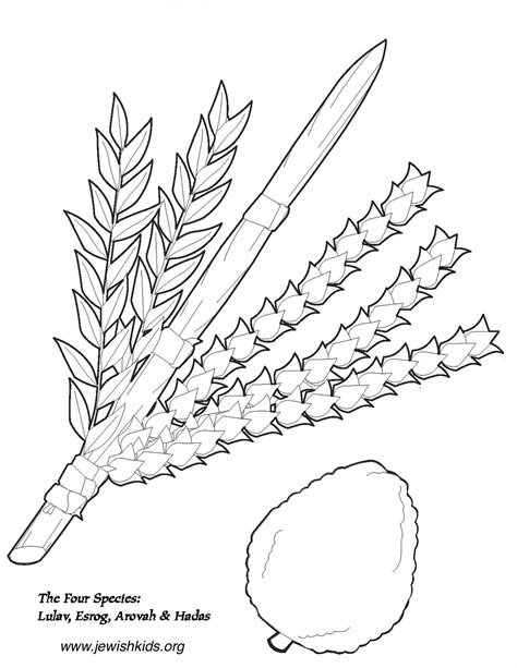 Sukkot Coloring Pages Crafts And Coloring Pages Jewish Kids