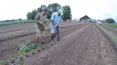 World Amazing Modern Agriculture Heavy Equipment Mega