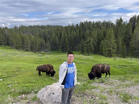 Yellowstone National Park Haojin S Blog