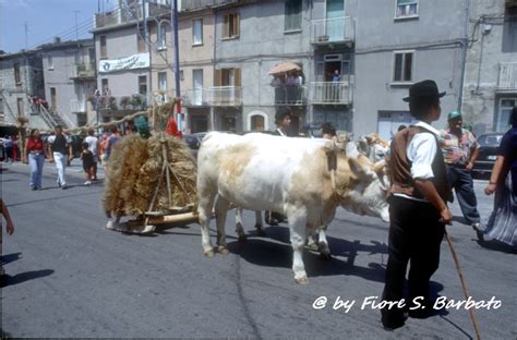 Jelsi Cb Festa Del Grano Per Sant Anna Wikipedia Flickr