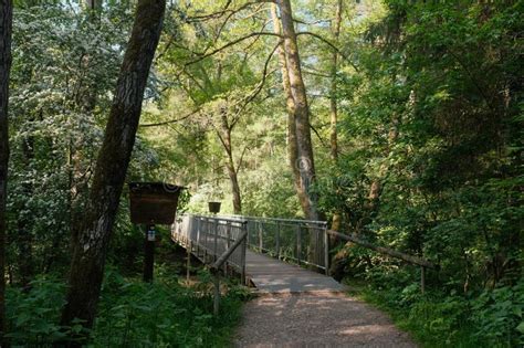 Sunlit Metal Bridge In A Forest Pathway Stock Image Image Of Outdoor