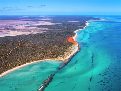 Shark Bay Aerial View Of Shark Bay Western Australia