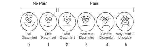 The Wong Baker Faces Pain Scale Adopted For Comfort Rating Modified Download Scientific