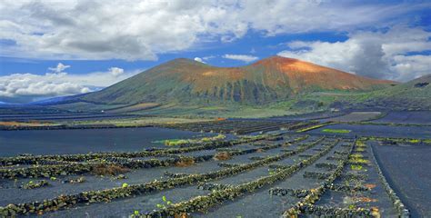 Tours and tickets for Timanfaya National Park | musement