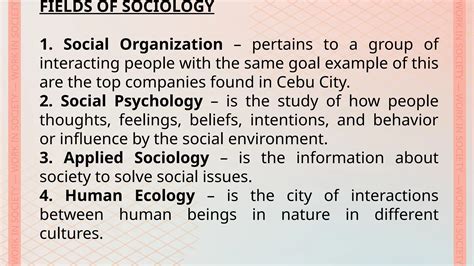 Lesson Understanding Culture Society And Politics Pptx