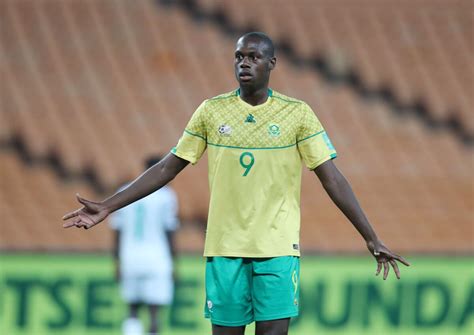 Bafana Bafana Vs Guinea Live Scores And Updates