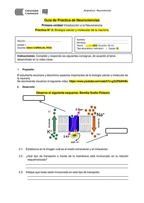 Práctica N° 2 Biología Celular Y Molecular De La Neurona Asignatura Neurociencias Guía De