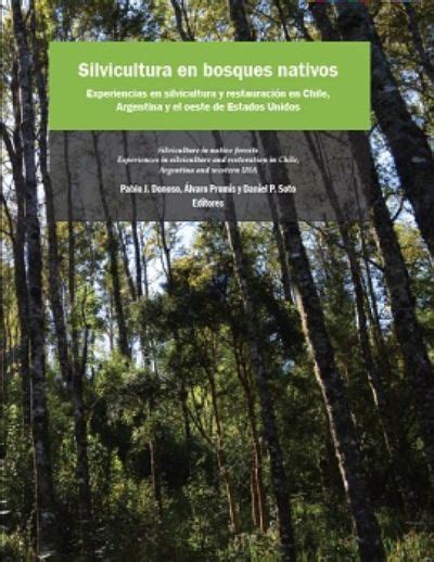 Silvicultura En Bosques Nativos Experiencias En Silvicultura Y