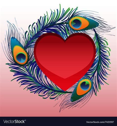 Beautiful Heart With Peacock Feathers Royalty Free Vector