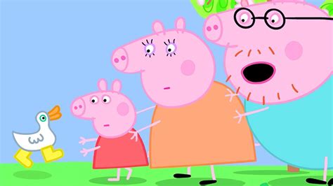 Peppa Pig Official Channel Where Are Peppa Pig S Golden Boots Youtube