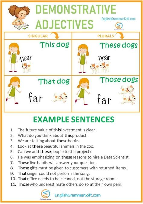 Demonstrative Adjective Examples Explanation Examples Of Adjectives