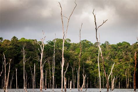 10 Fun Facts about French Guiana you didn’t know!