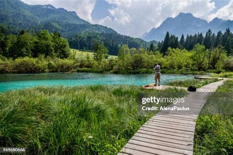 Zelenci Photos and Premium High Res Pictures - Getty Images