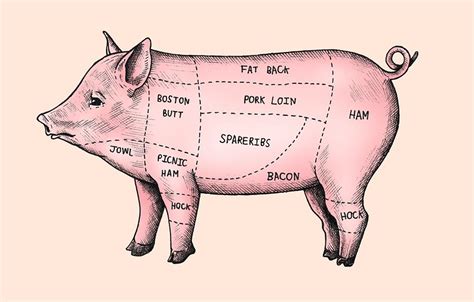 Pig Cutting Chart Images | Free Photos, PNG Stickers, Wallpapers ...