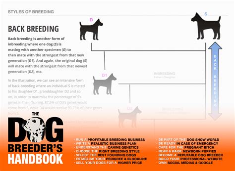 The Dog Breeder's Handbook — The Definitive Guide