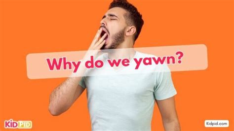 Why Do We Yawn Kidpid