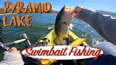 October Swimbait Fishing Pyramid Lake Kayak Bass Fishing Bass