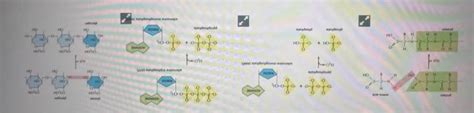 Solved Individual Chemical Reactions In The Cell Can Be Chegg