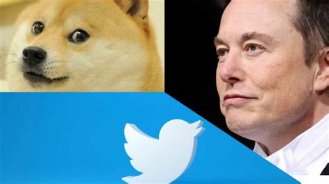 Elon Musk Replaces Twitters Blue Bird Logo With Doge Meme